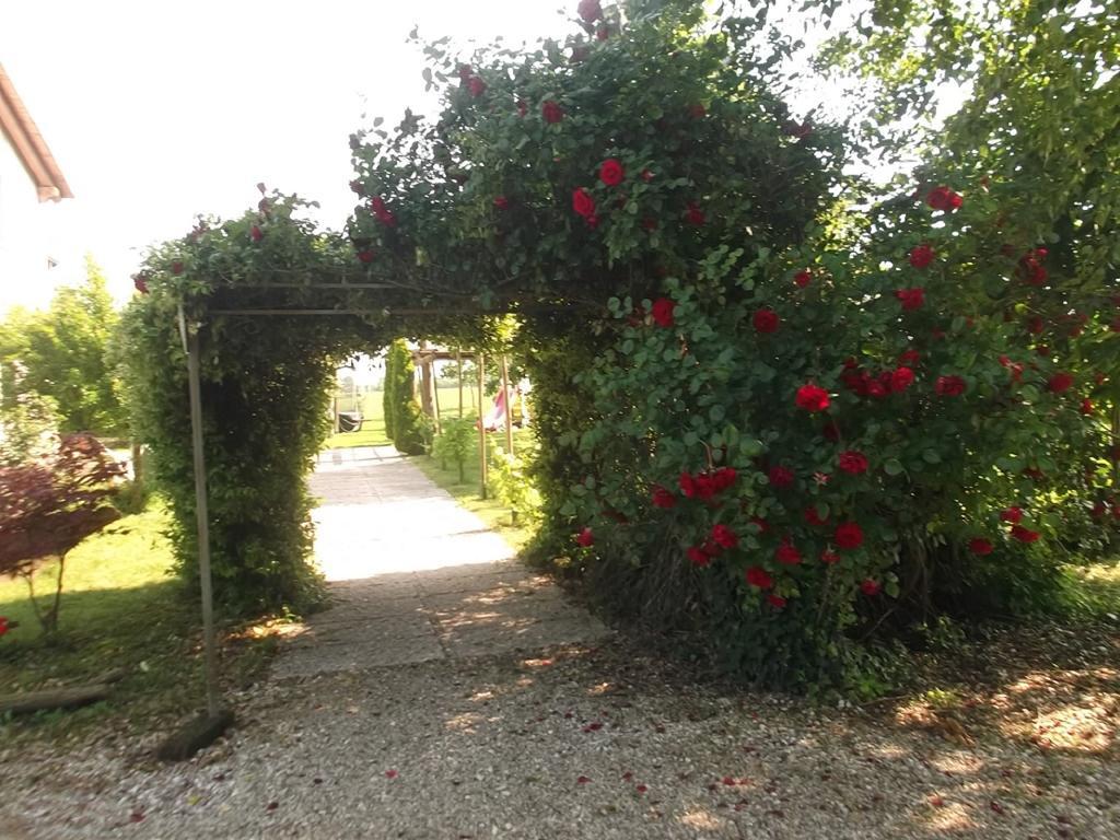 Agriturismo La Prateria Gazzo  ภายนอก รูปภาพ