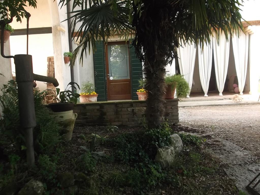 Agriturismo La Prateria Gazzo  ภายนอก รูปภาพ