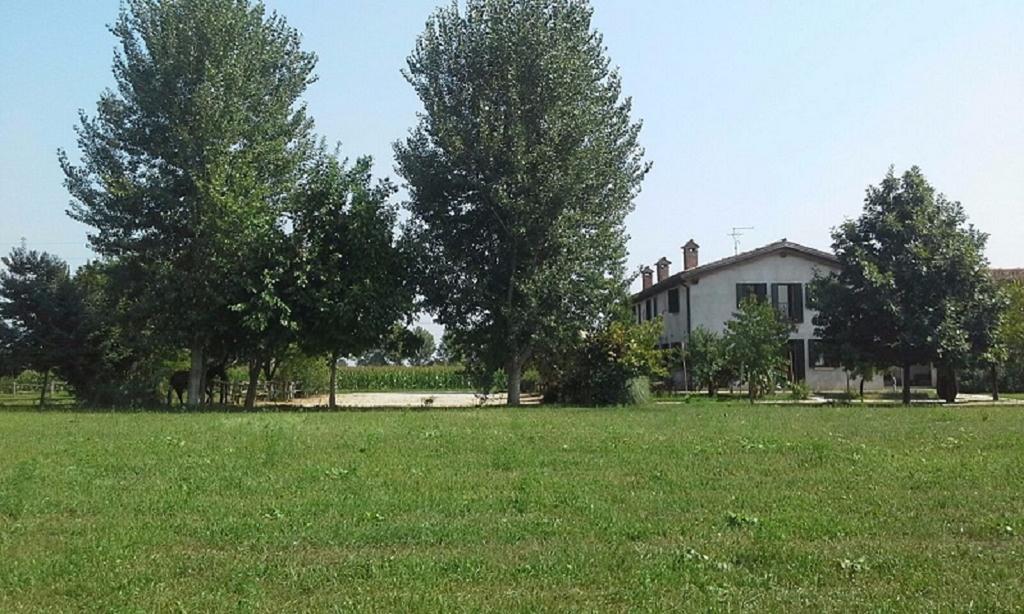 Agriturismo La Prateria Gazzo  ภายนอก รูปภาพ